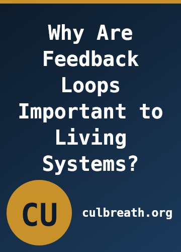 Why Are Feedback Loops Important to Living Systems?