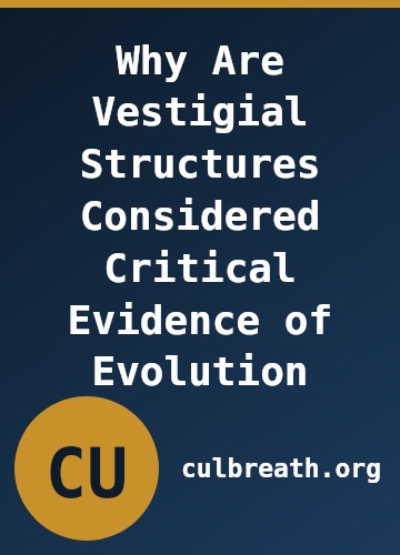 Why Are Vestigial Structures Considered Critical Evidence of Evolution