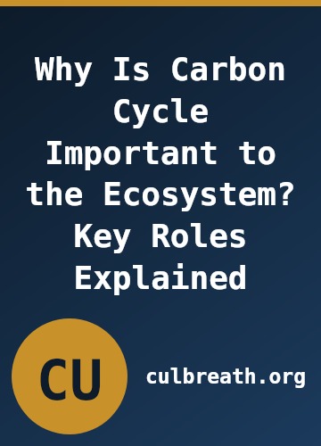 Why Is Carbon Cycle Important to the Ecosystem? Key Roles Explained