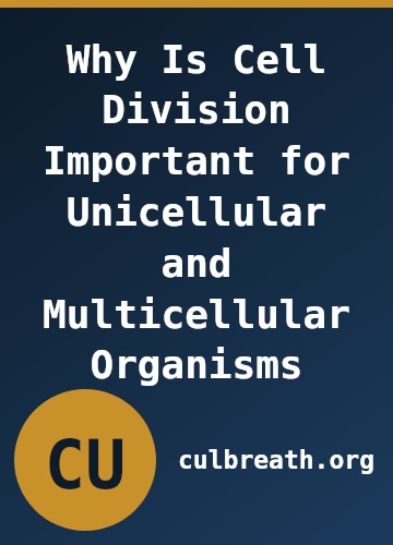 Why Is Cell Division Important for Unicellular and Multicellular Organisms
