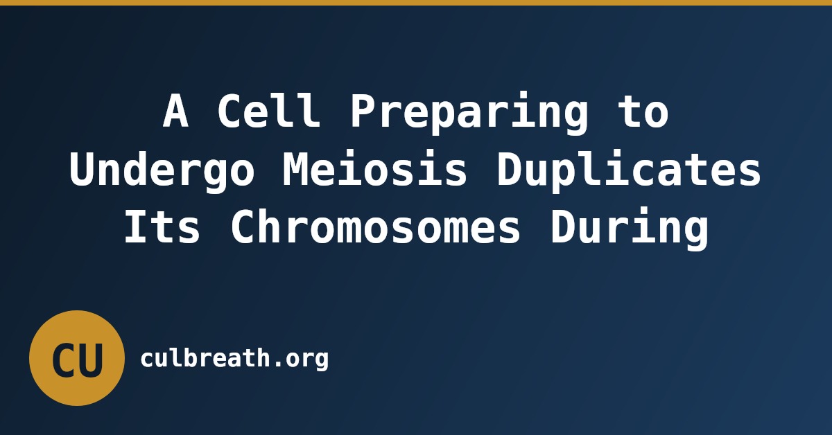 A Cell Preparing to Undergo Meiosis Duplicates Its Chromosomes During