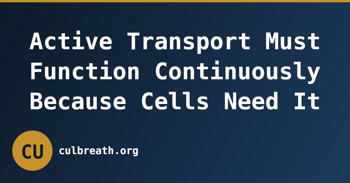 Active Transport Must Function Continuously Because Cells Need It
