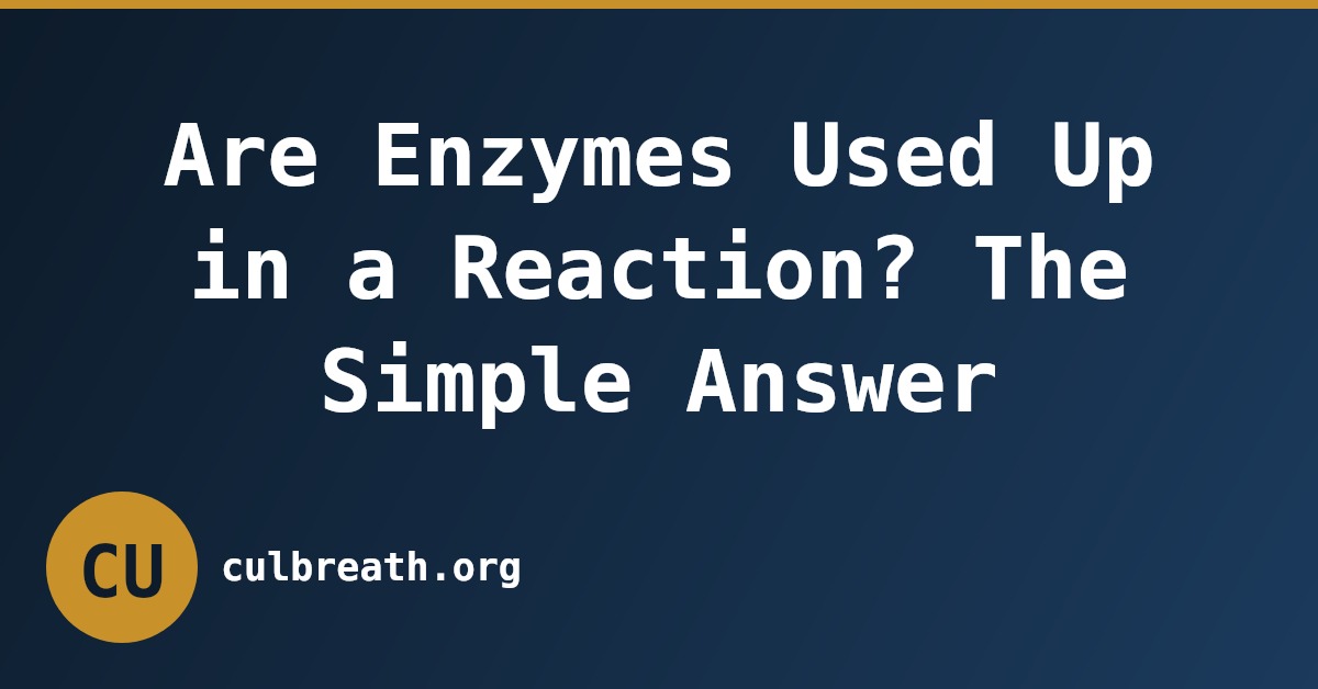Are Enzymes Used Up in a Reaction? The Simple Answer