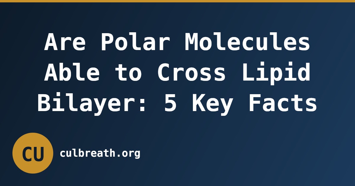 Are Polar Molecules Able to Cross Lipid Bilayer: 5 Key Facts