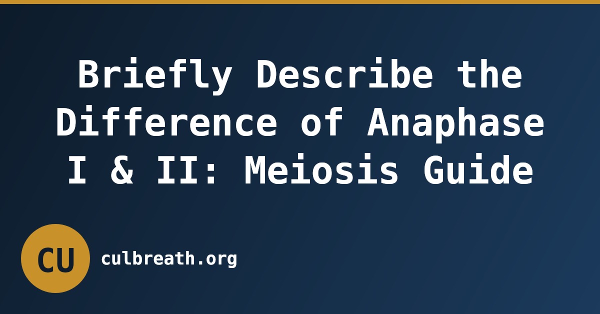 Briefly Describe the Difference of Anaphase I & II: Meiosis Guide