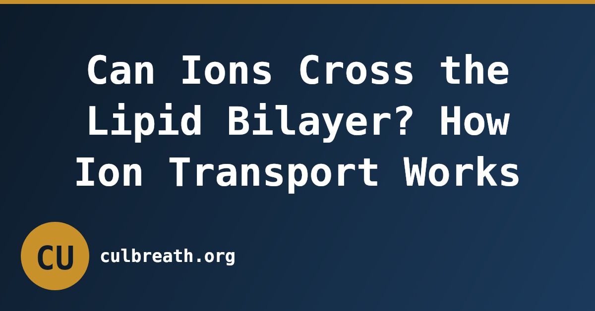 Can Ions Cross the Lipid Bilayer? How Ion Transport Works