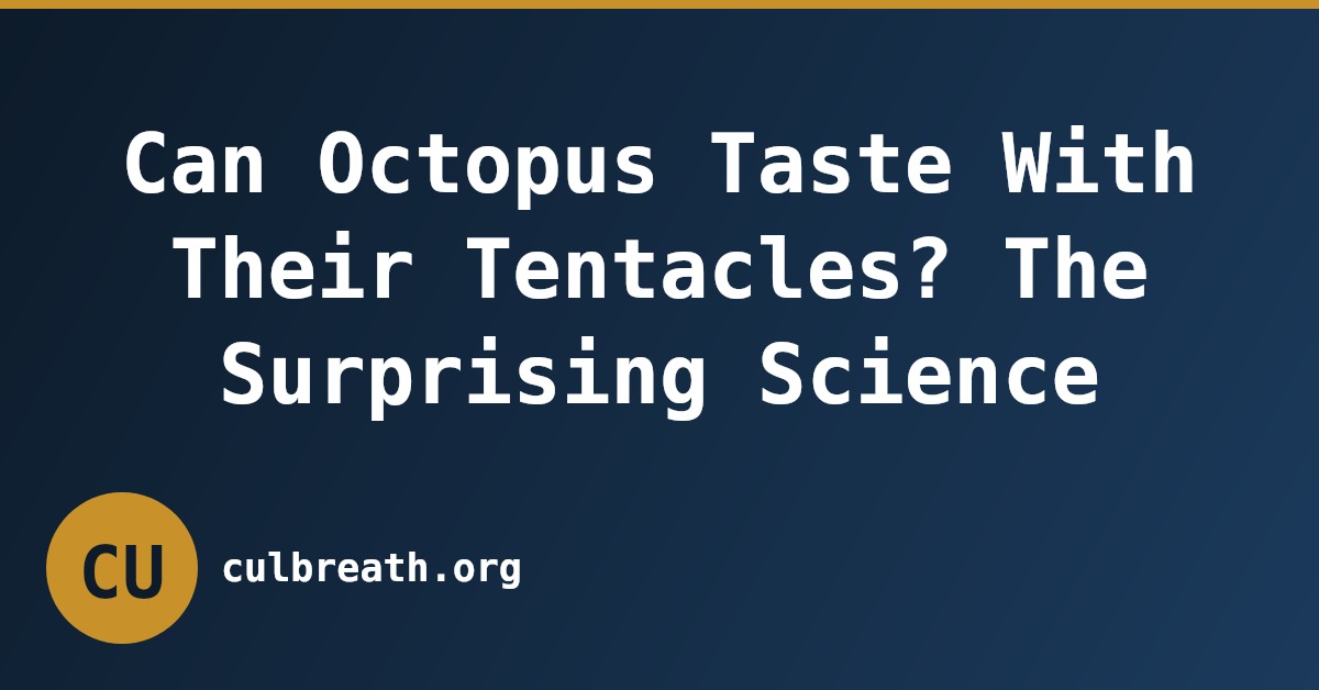 Can Octopus Taste With Their Tentacles? The Surprising Science