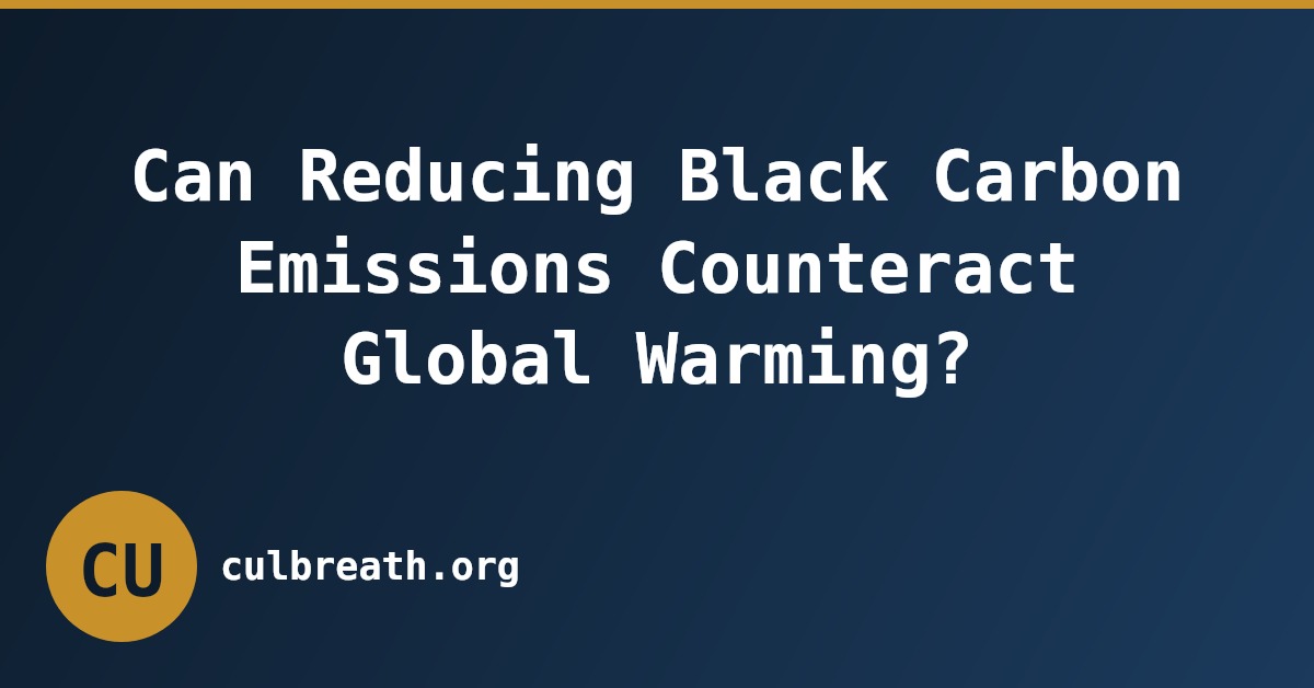 Can Reducing Black Carbon Emissions Counteract Global Warming?