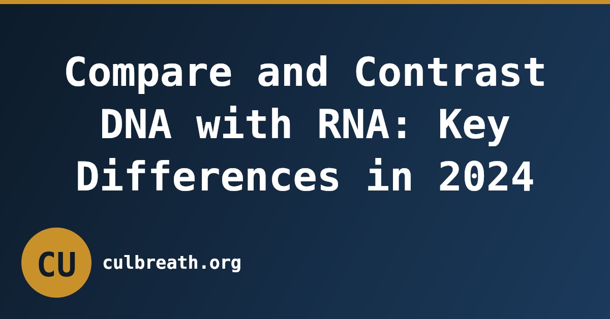 Compare and Contrast DNA with RNA: Key Differences in 2024