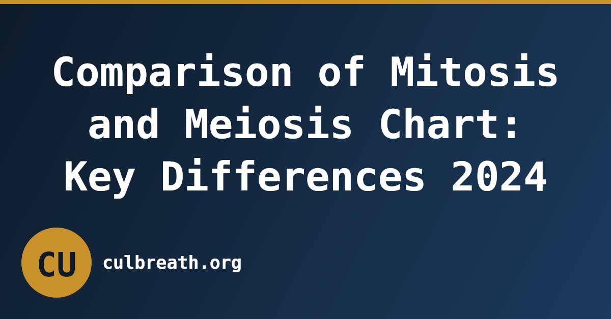Comparison of Mitosis and Meiosis Chart: Key Differences 2024