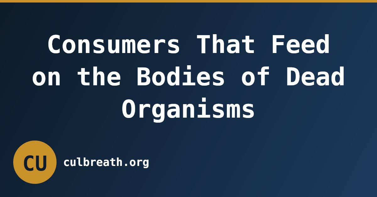 Consumers That Feed on the Bodies of Dead Organisms