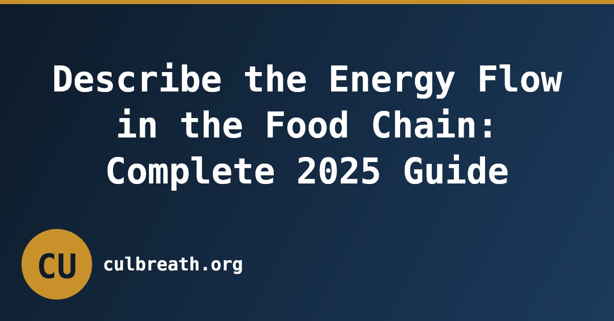 Describe the Energy Flow in the Food Chain: Complete 2025 Guide