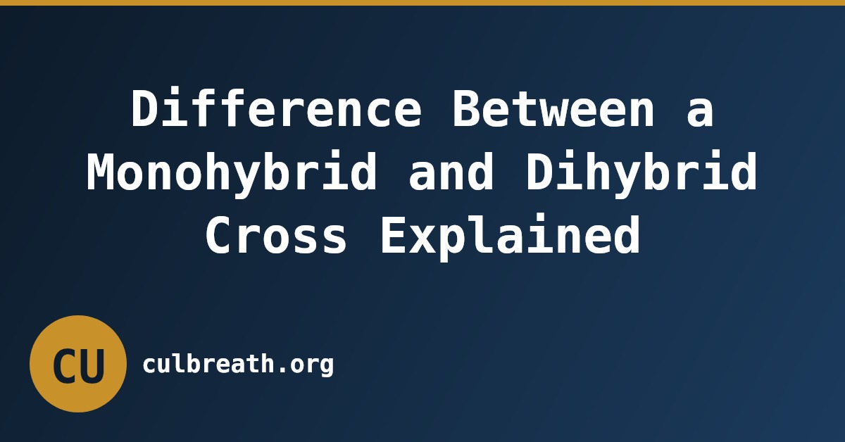 Difference Between a Monohybrid and Dihybrid Cross Explained