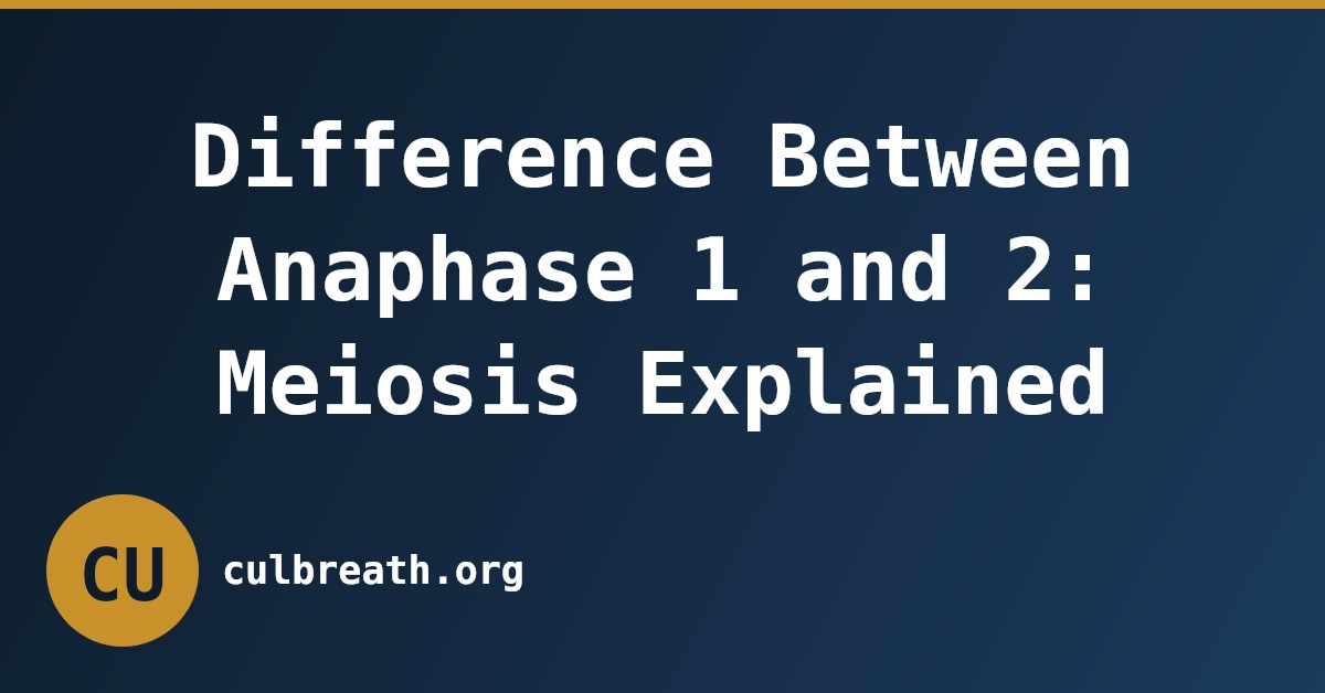 Difference Between Anaphase 1 and 2: Meiosis Explained