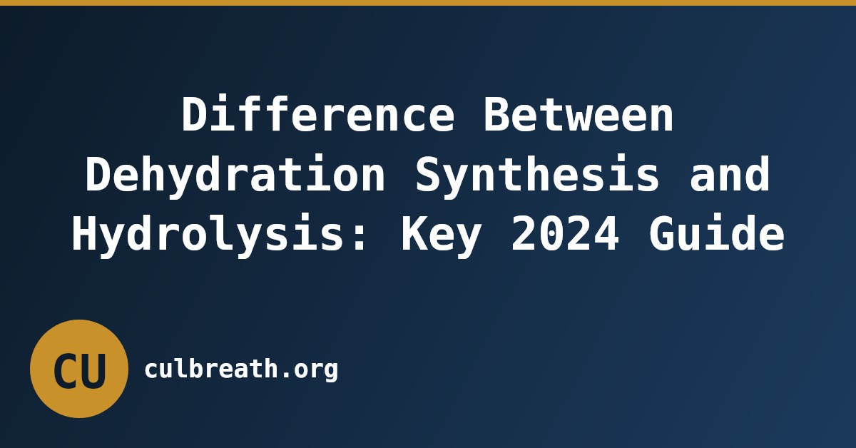 Difference Between Dehydration Synthesis and Hydrolysis: Key 2024 Guide