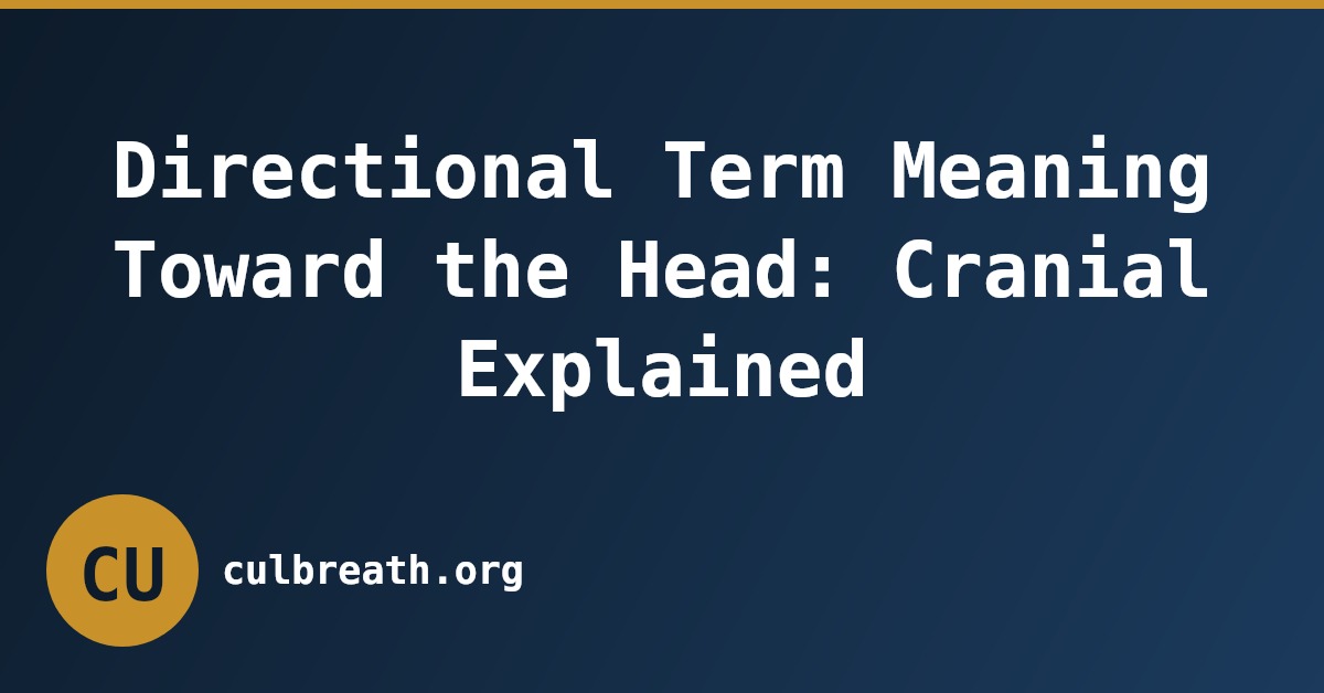Directional Term Meaning Toward the Head: Cranial Explained