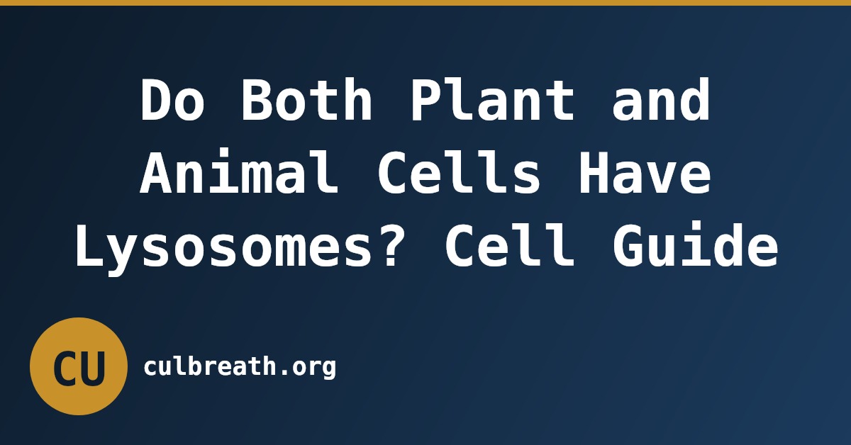 Do Both Plant and Animal Cells Have Lysosomes? Cell Guide