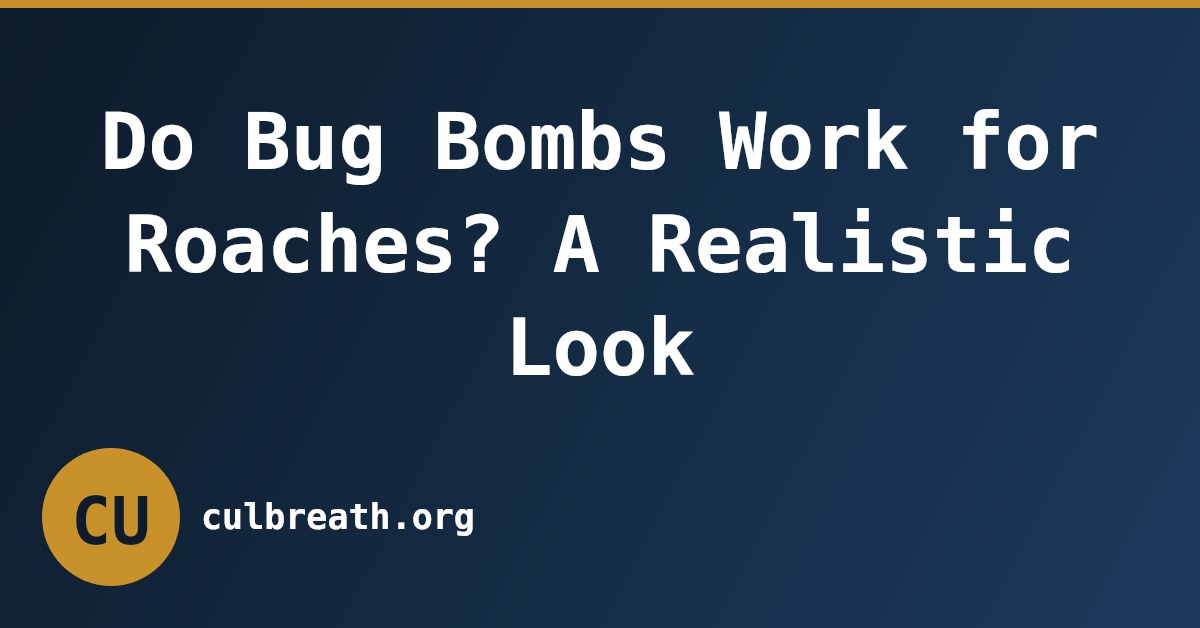 Do Bug Bombs Work for Roaches? A Realistic Look