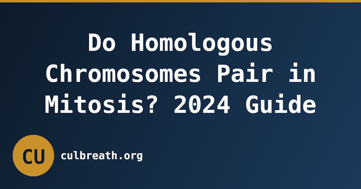 Do Homologous Chromosomes Pair in Mitosis? 2024 Guide