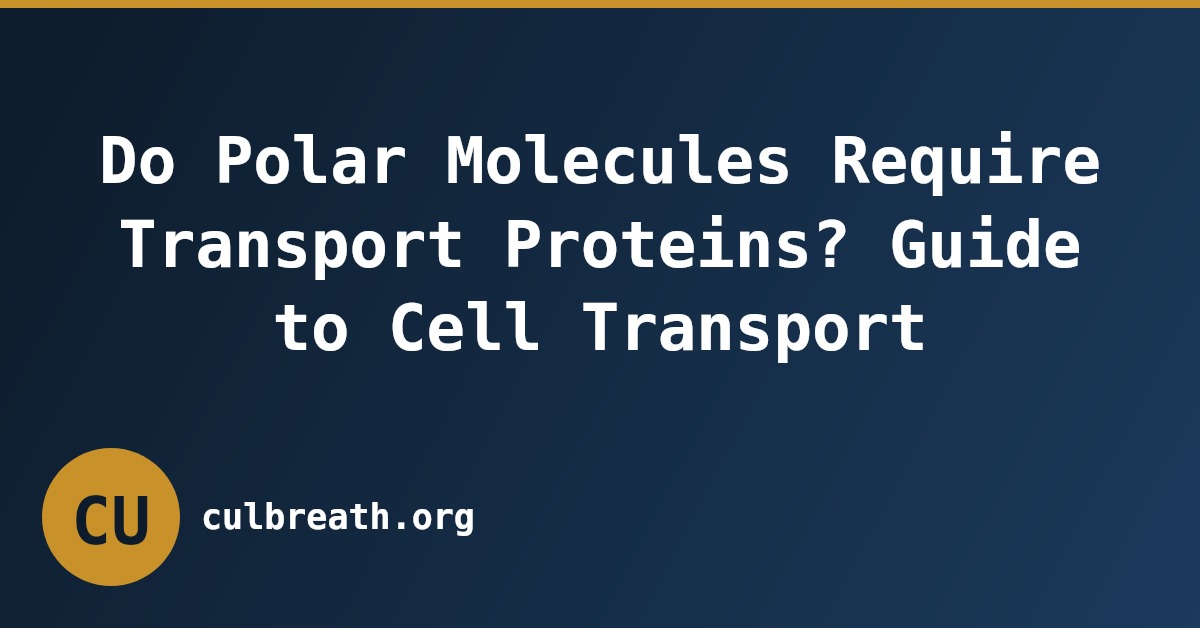 Do Polar Molecules Require Transport Proteins? Guide to Cell Transport