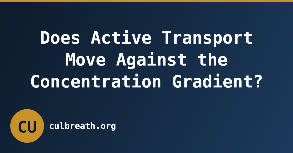 Does Active Transport Move Against the Concentration Gradient?