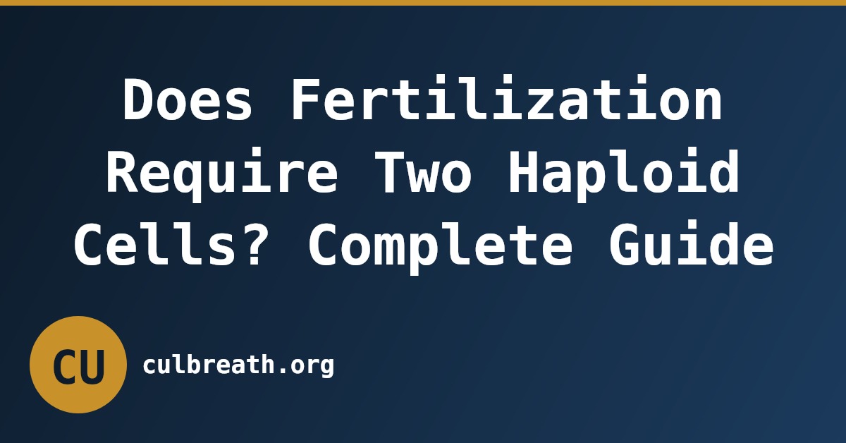 Does Fertilization Require Two Haploid Cells? Complete Guide