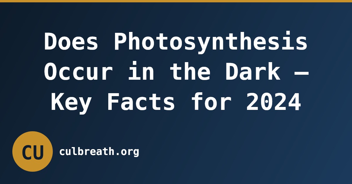 Does Photosynthesis Occur in the Dark – Key Facts for 2024