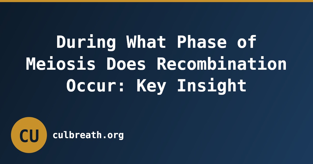 During What Phase of Meiosis Does Recombination Occur: Key Insight