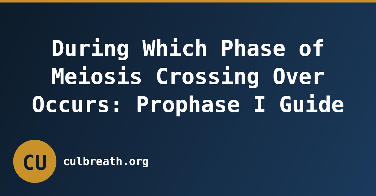 During Which Phase of Meiosis Crossing Over Occurs: Prophase I Guide