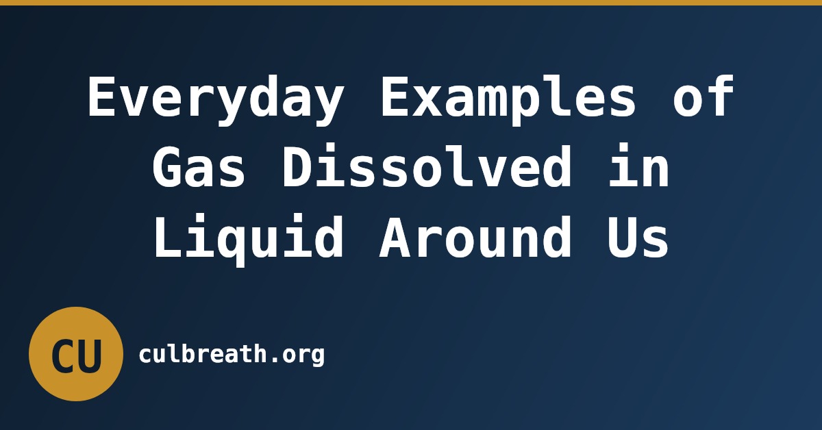 Everyday Examples of Gas Dissolved in Liquid Around Us