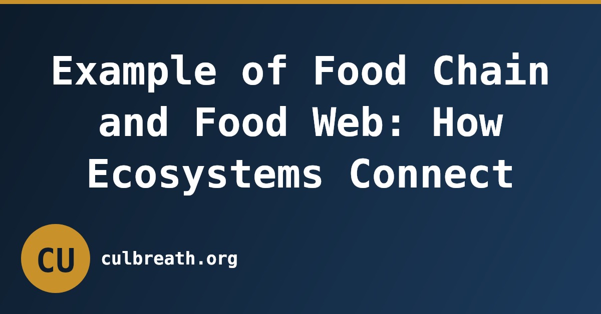 Example of Food Chain and Food Web: How Ecosystems Connect