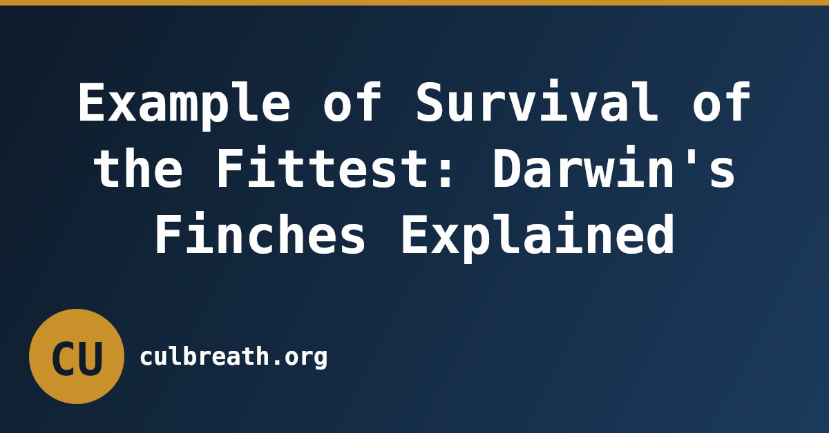 Example of Survival of the Fittest: Darwin's Finches Explained