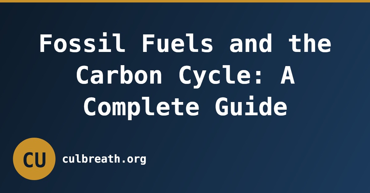 Fossil Fuels and the Carbon Cycle: A Complete Guide