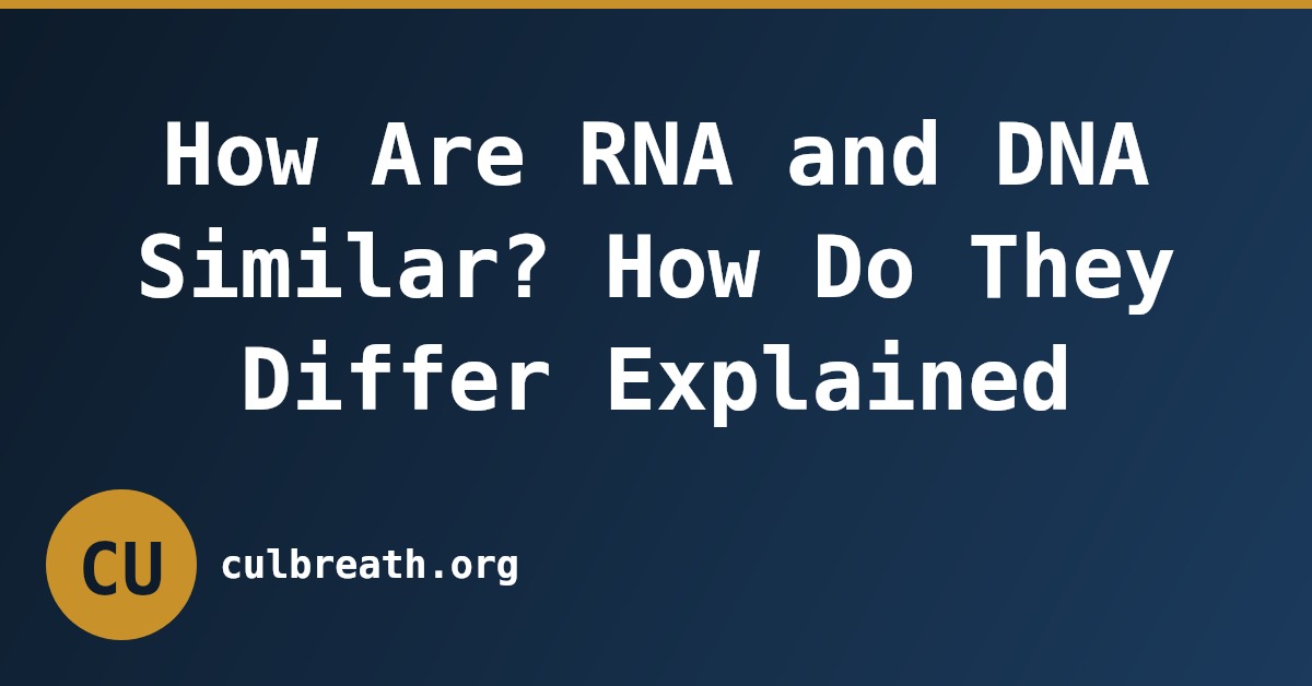 How Are RNA and DNA Similar? How Do They Differ Explained