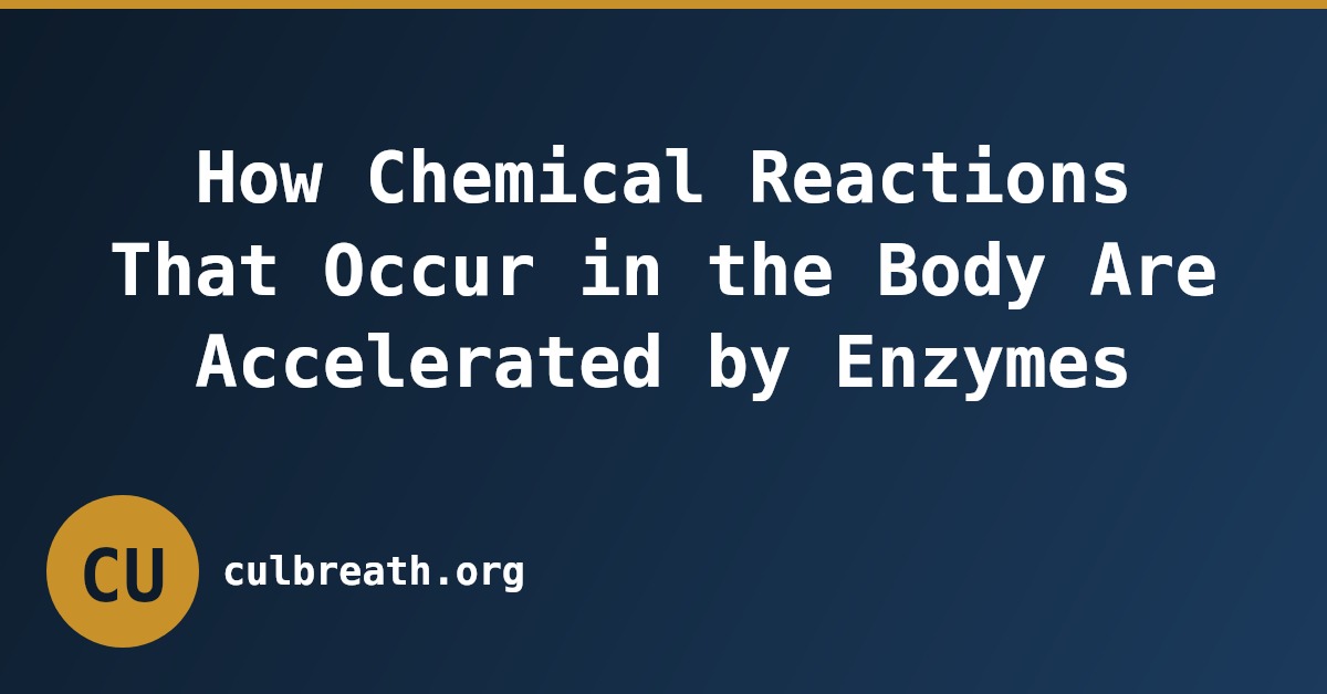 How Chemical Reactions That Occur in the Body Are Accelerated by Enzymes