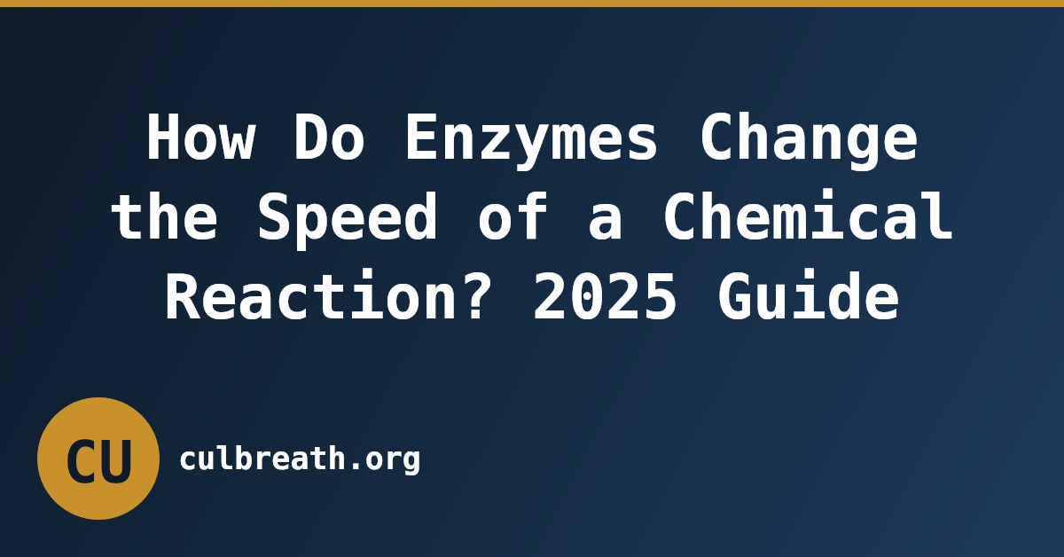 How Do Enzymes Change the Speed of a Chemical Reaction? 2025 Guide