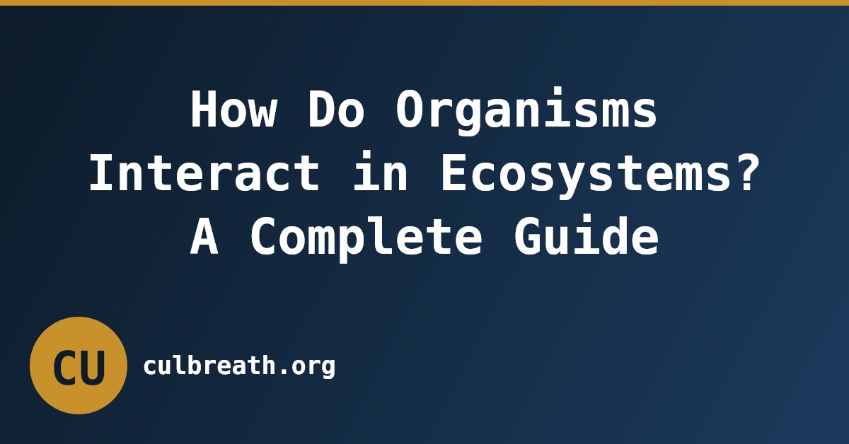 How Do Organisms Interact in Ecosystems? A Complete Guide