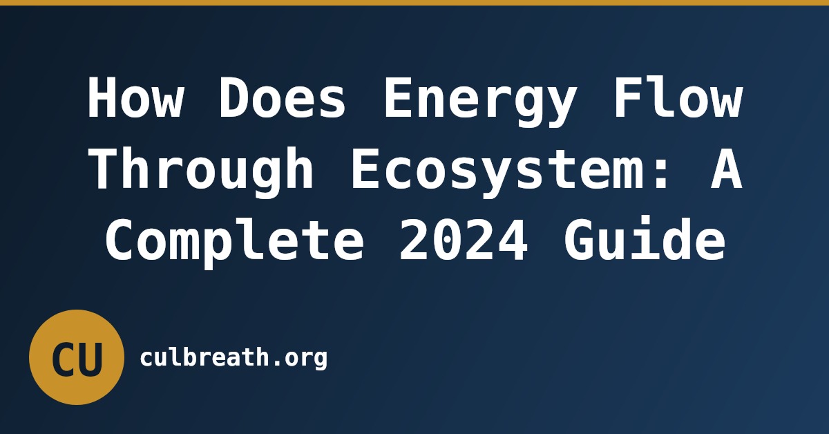 How Does Energy Flow Through Ecosystem: A Complete 2024 Guide