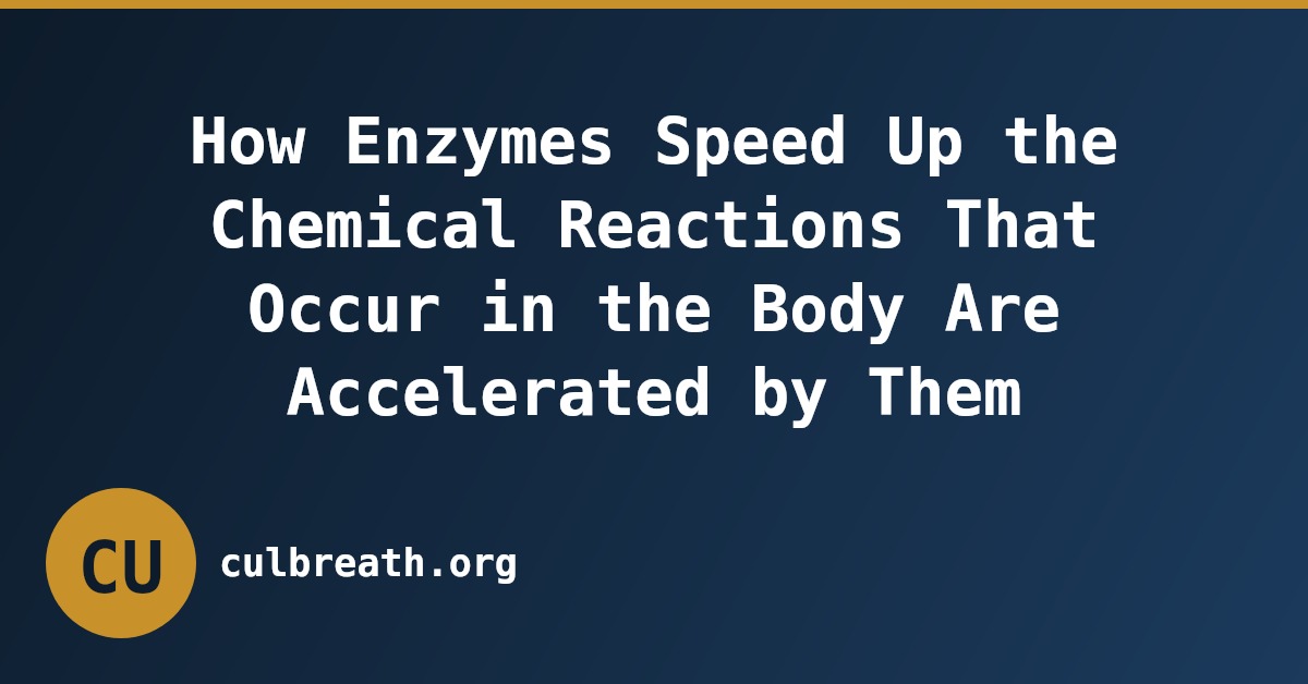 How Enzymes Speed Up the Chemical Reactions That Occur in the Body Are Accelerated by Them
