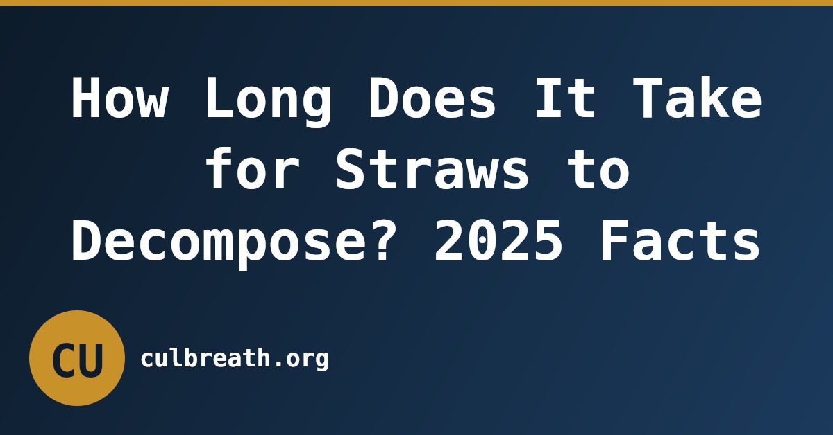How Long Does It Take for Straws to Decompose? 2025 Facts