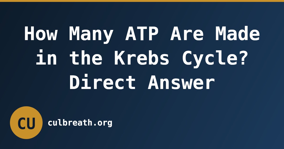 How Many ATP Are Made in the Krebs Cycle? Direct Answer