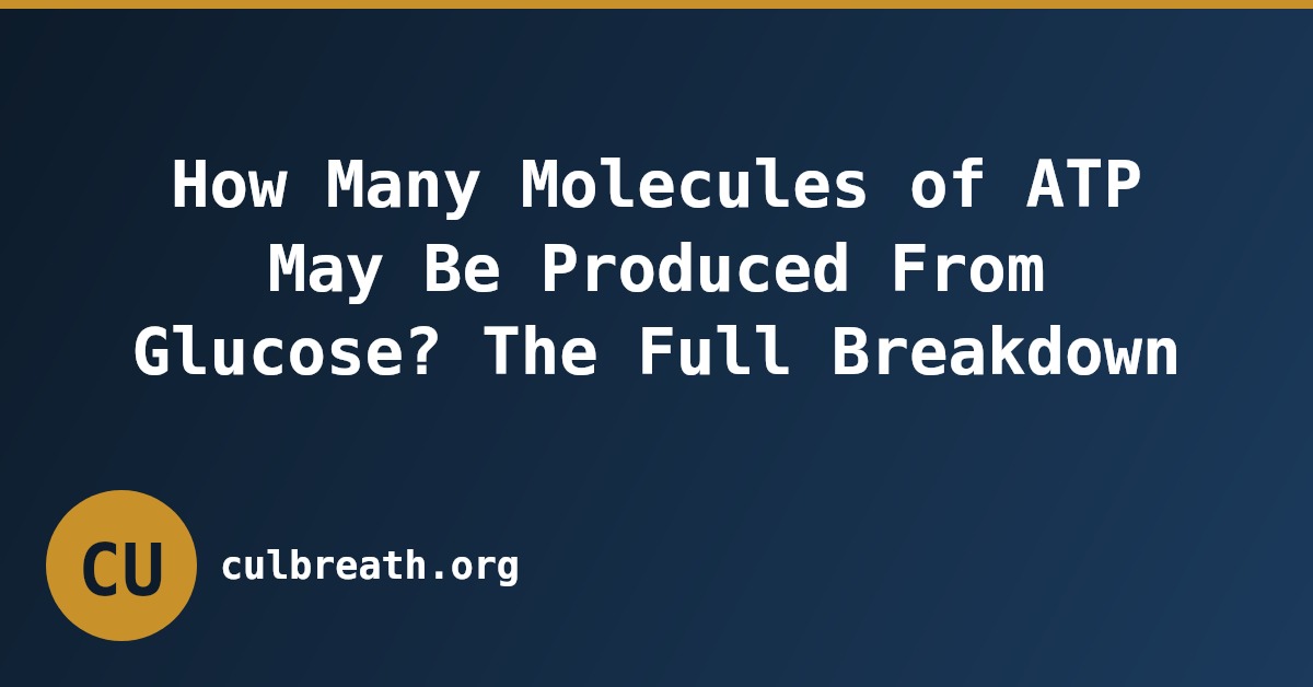 How Many Molecules of ATP May Be Produced From Glucose? The Full Breakdown