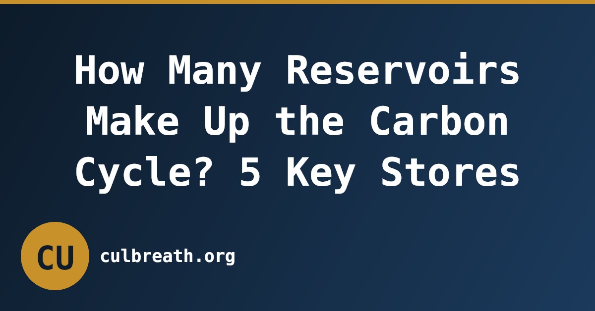 How Many Reservoirs Make Up the Carbon Cycle? 5 Key Stores