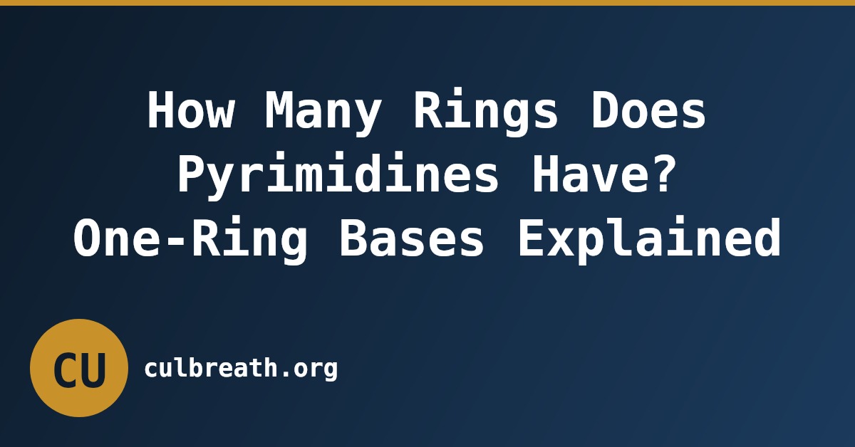 How Many Rings Does Pyrimidines Have? One-Ring Bases Explained