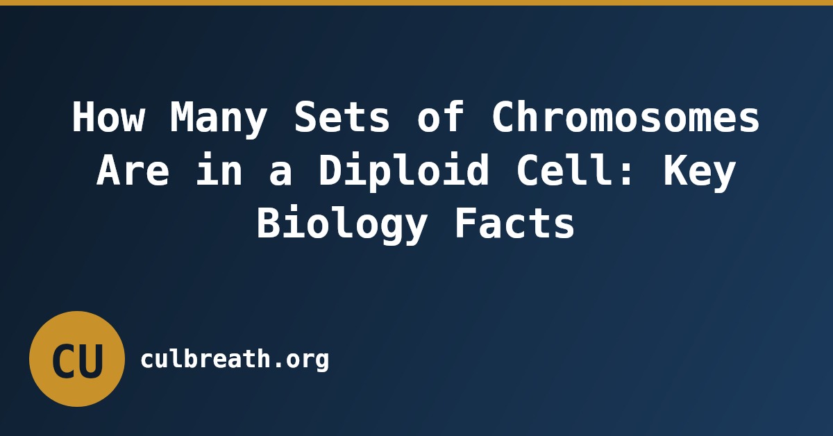 How Many Sets of Chromosomes Are in a Diploid Cell: Key Biology Facts