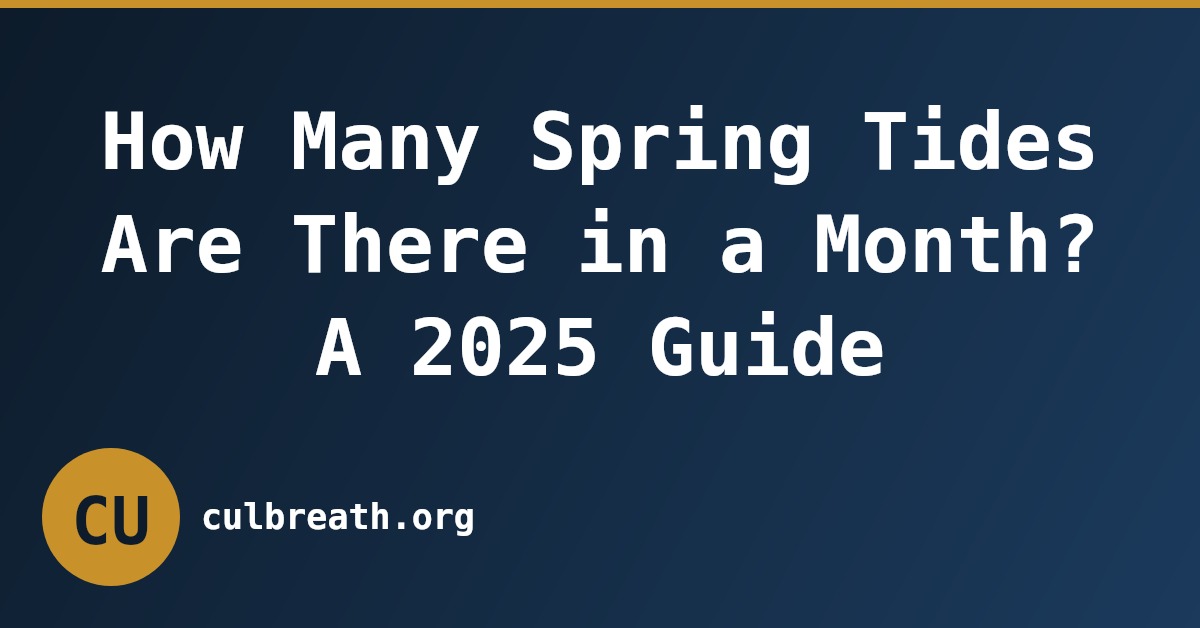 How Many Spring Tides Are There in a Month? A 2025 Guide