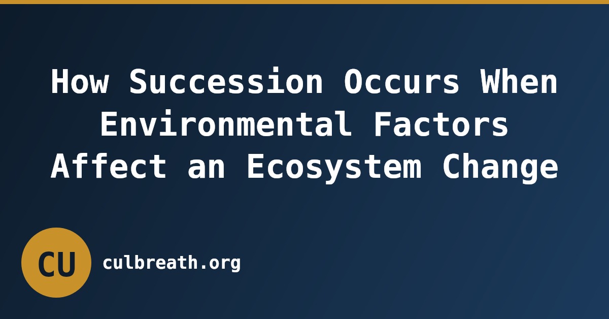 How Succession Occurs When Environmental Factors Affect an Ecosystem Change