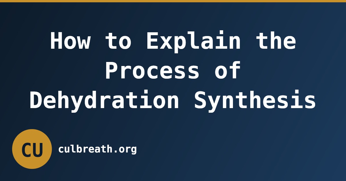 How to Explain the Process of Dehydration Synthesis