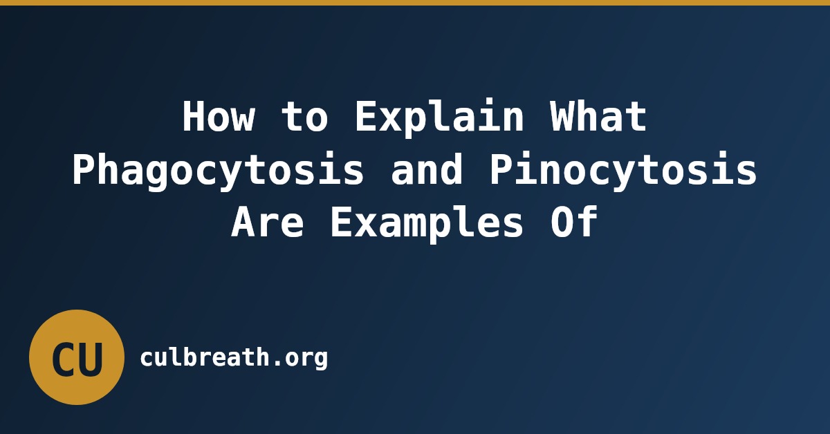 How to Explain What Phagocytosis and Pinocytosis Are Examples Of