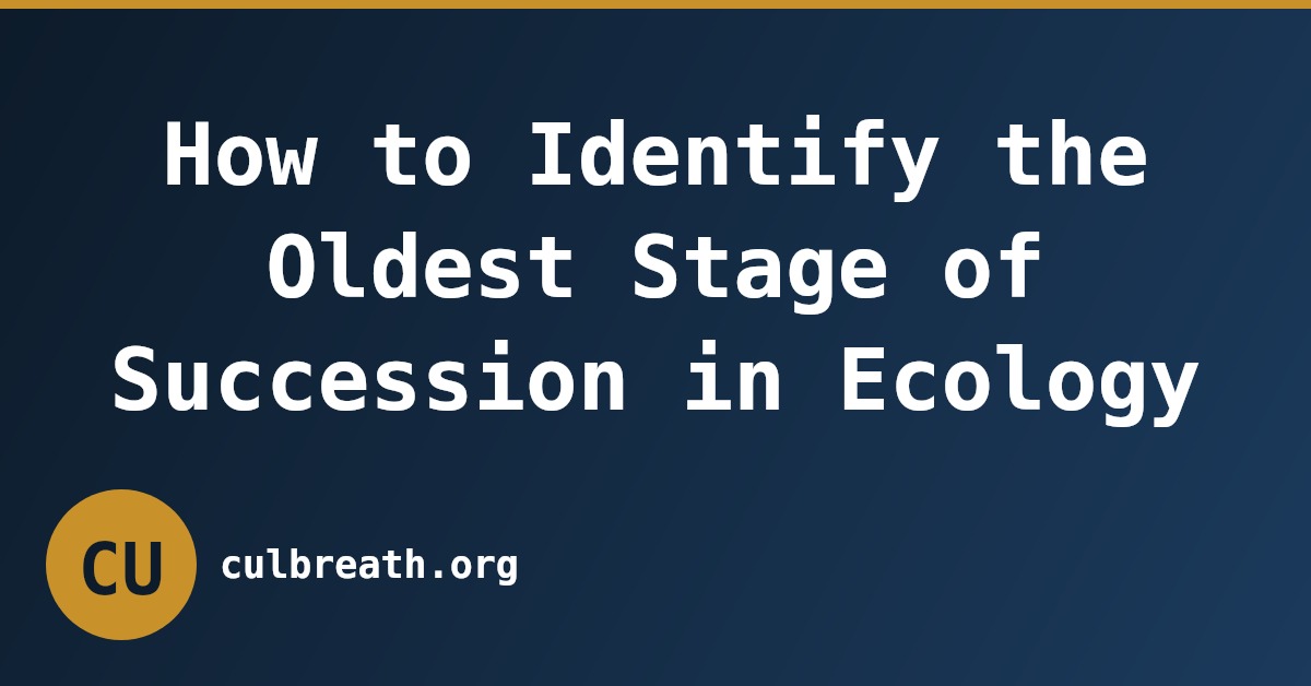 How to Identify the Oldest Stage of Succession in Ecology